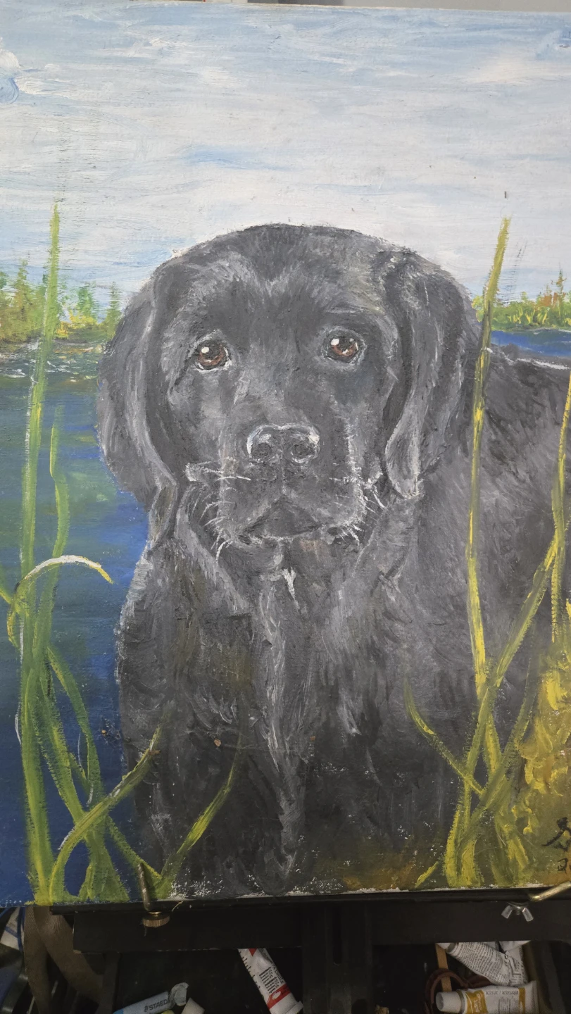 Oil Painting of a Black Labrador Retriever