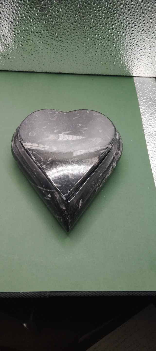 Heart Shaped Marble orthoceras fossil Trinket Box