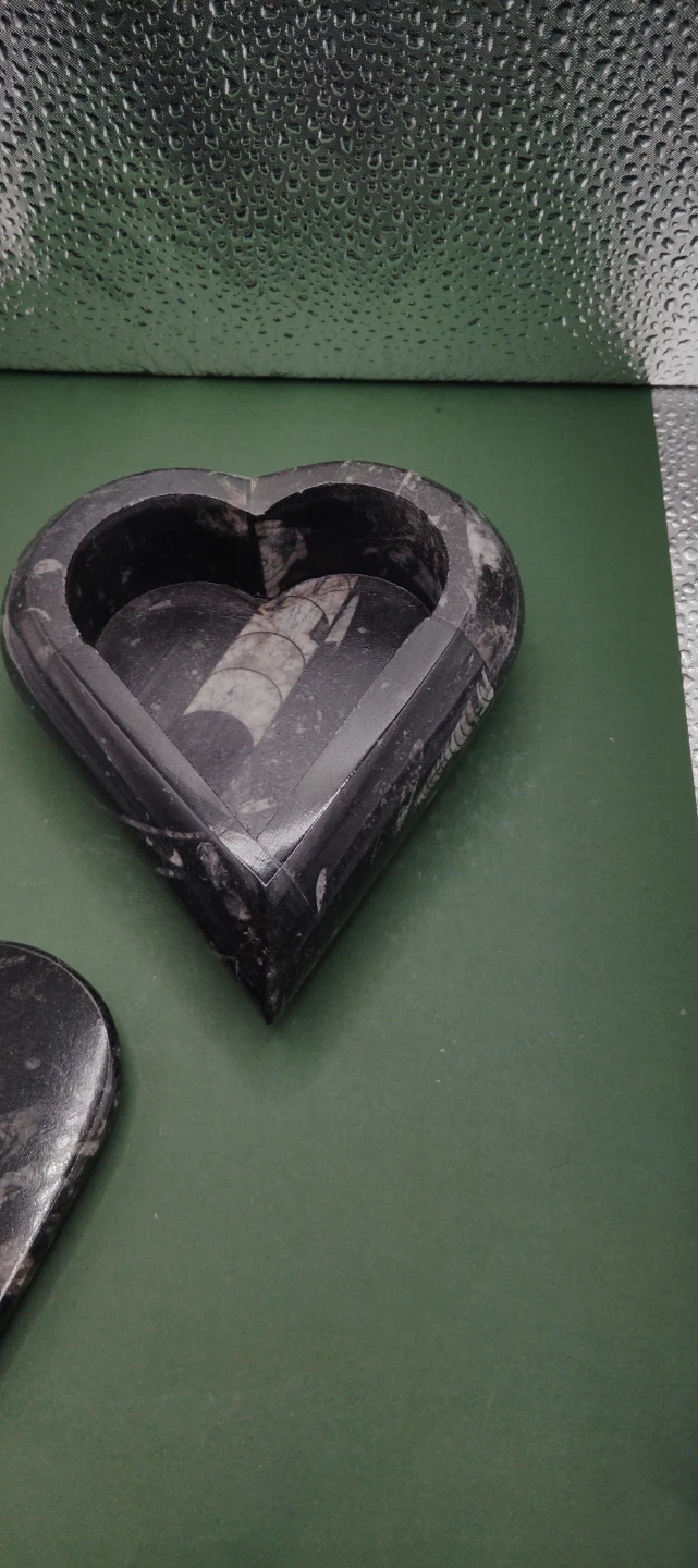 Heart Shaped Marble orthoceras fossil Trinket Box - photo 3