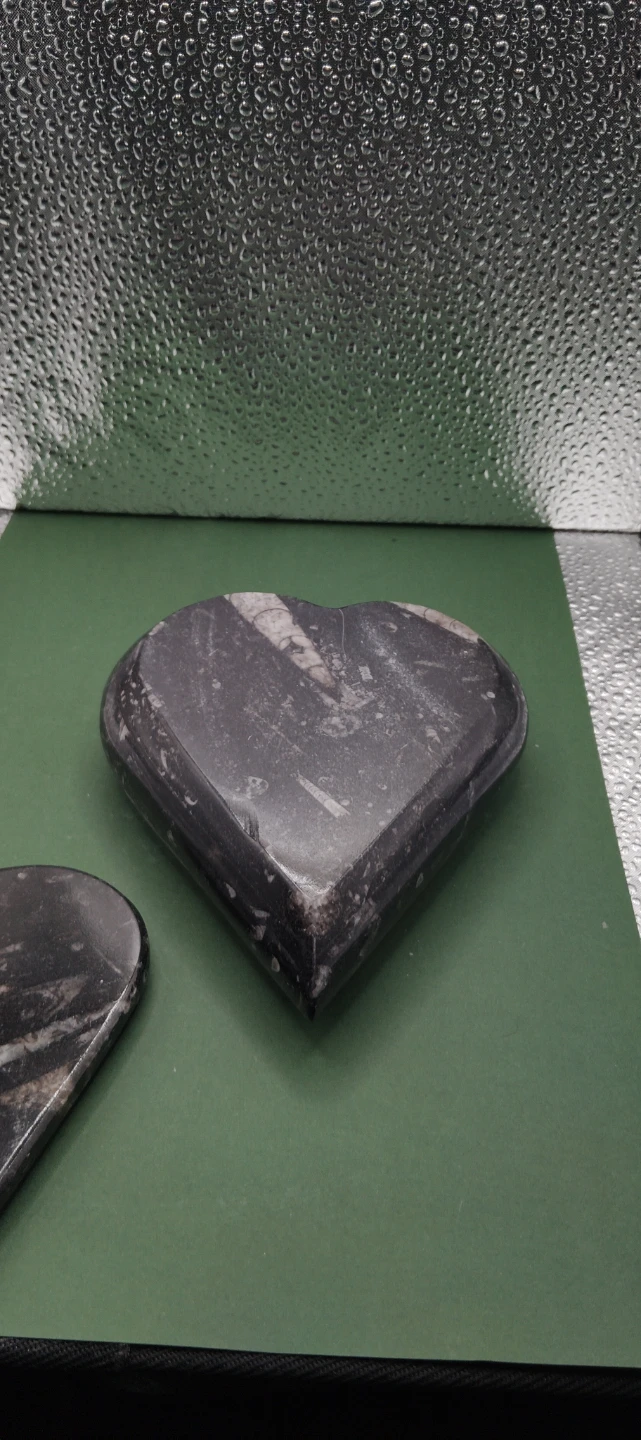 Heart Shaped Marble orthoceras fossil Trinket Box - photo 4