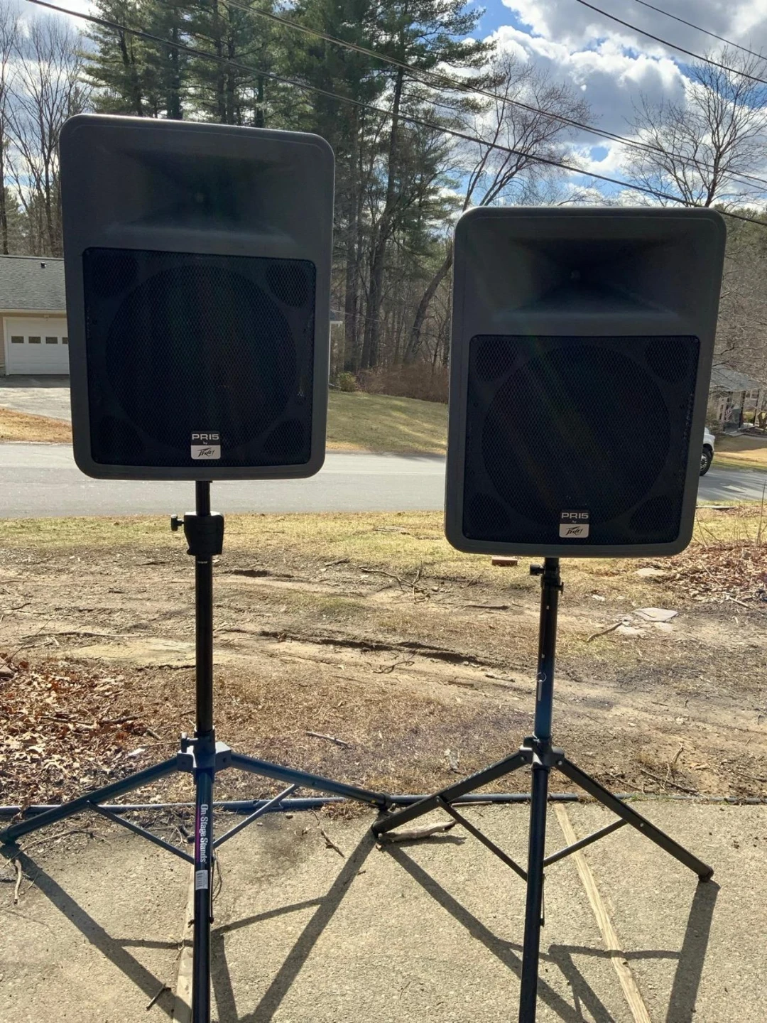 Peavey PR 15 PA Speakers (Pair) - photo 2