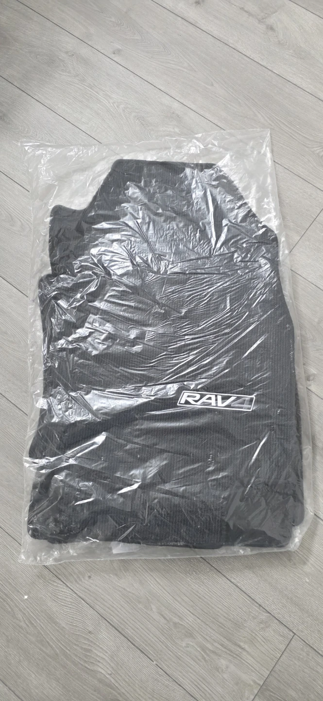 RAV4 Floor Mat Set