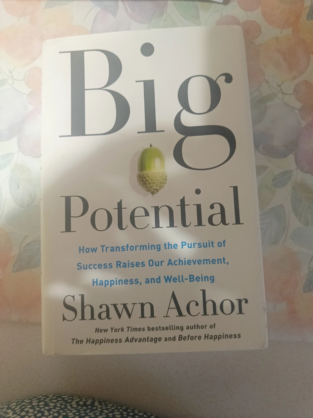 Big Potential by Shawn Achor