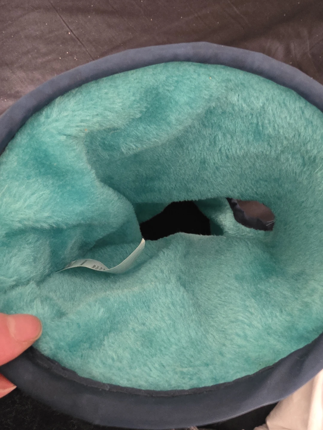 Plush Pet Tunnel  🏆 - photo 2