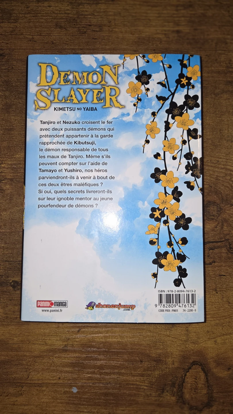 Demon Slayer: Kimetsu no Yaiba Manga Volume 3 - photo 2