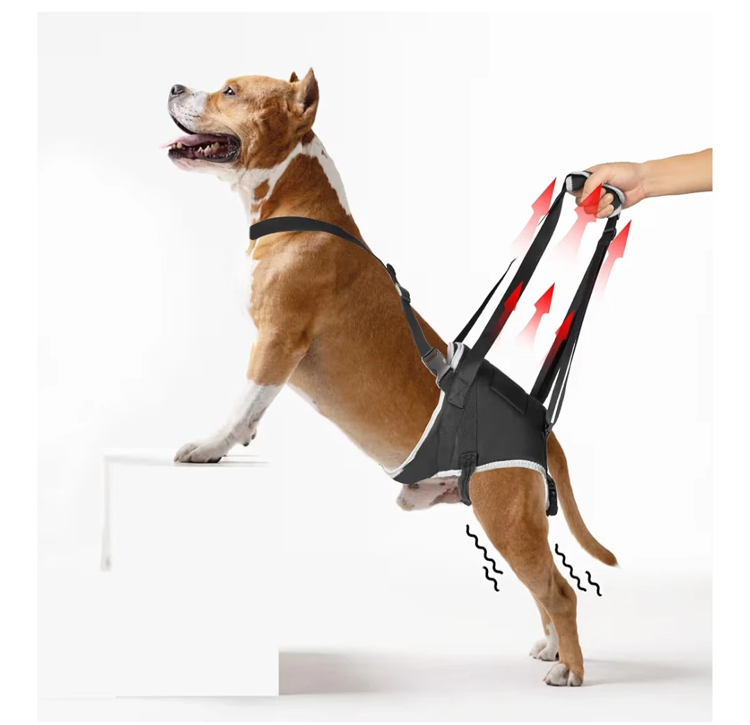 XUVIRA Dog Lift Sling Harness - Medium