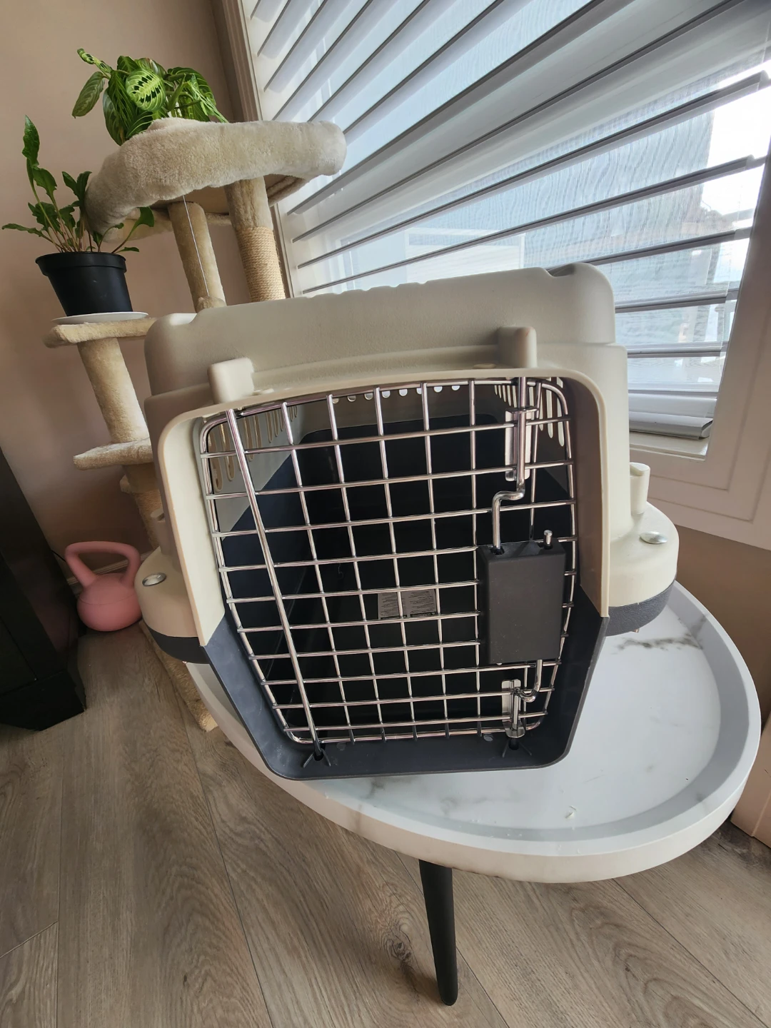 Pet Carrier