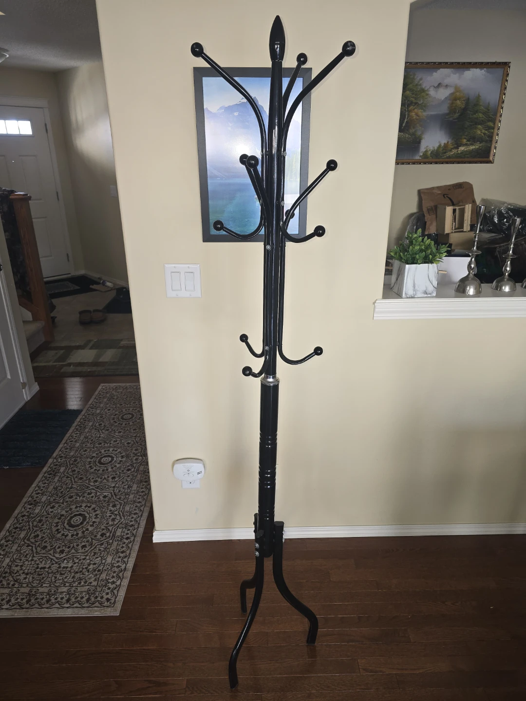 Black Metal Coat Rack
