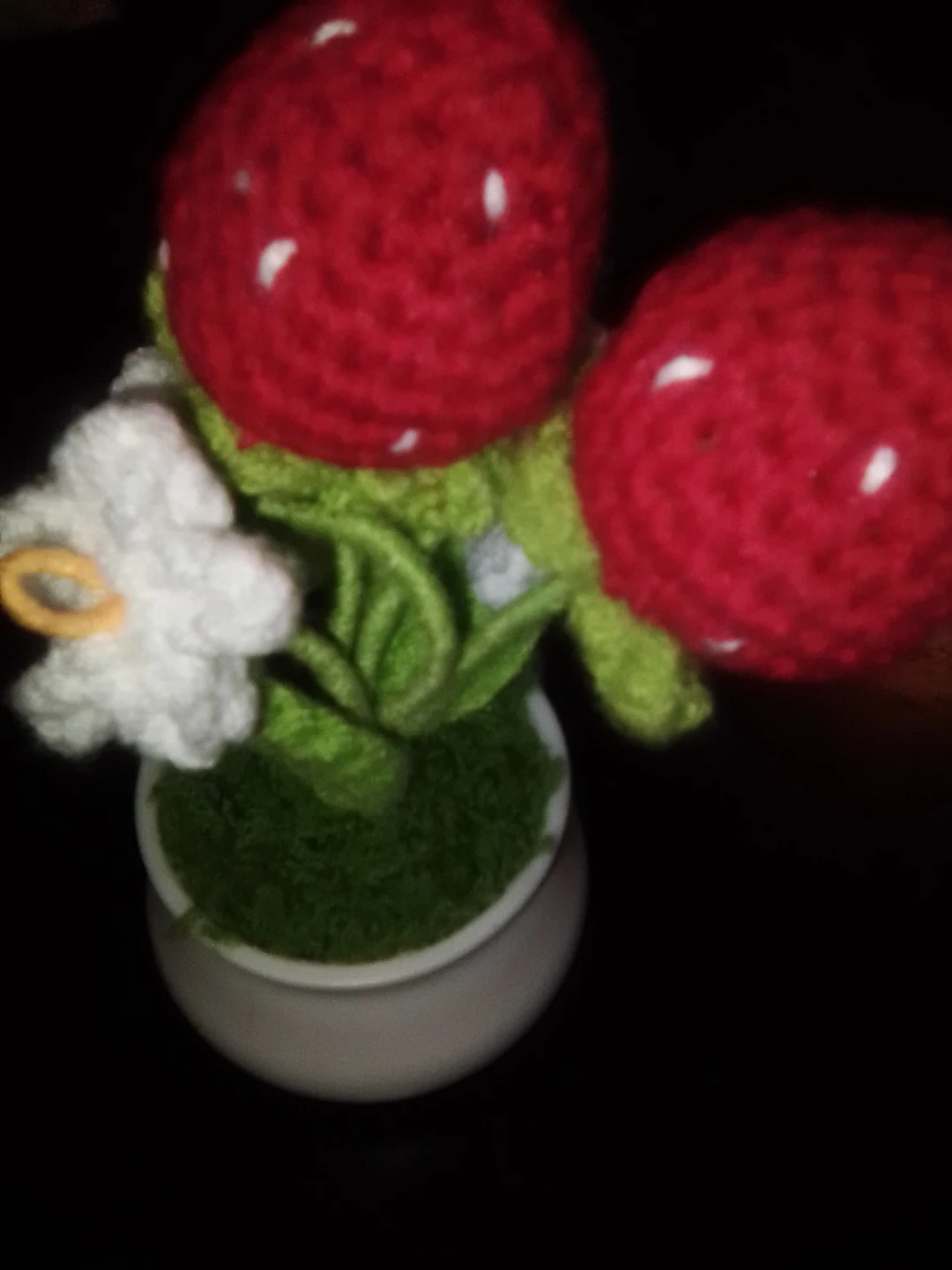 Crocheted Strawberry Plant Decoration 🏆