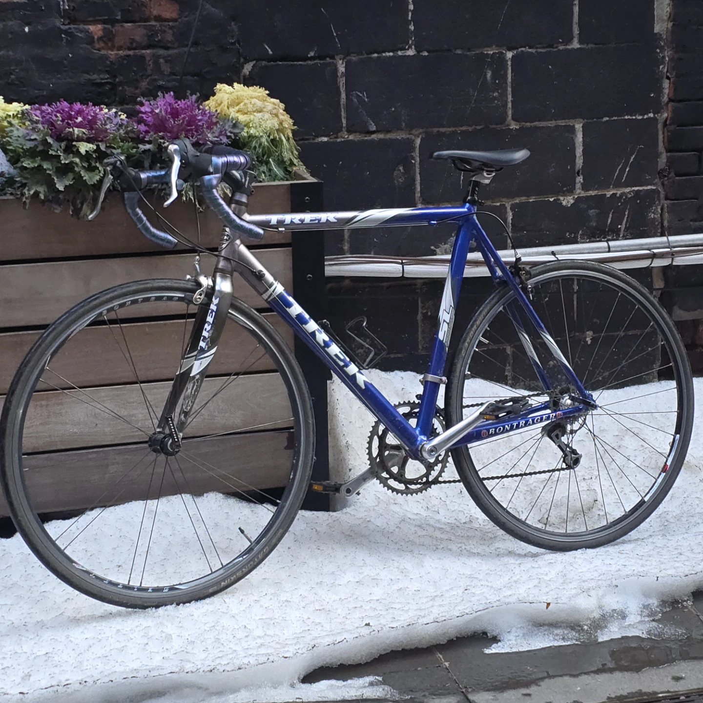 Trek Road Bike