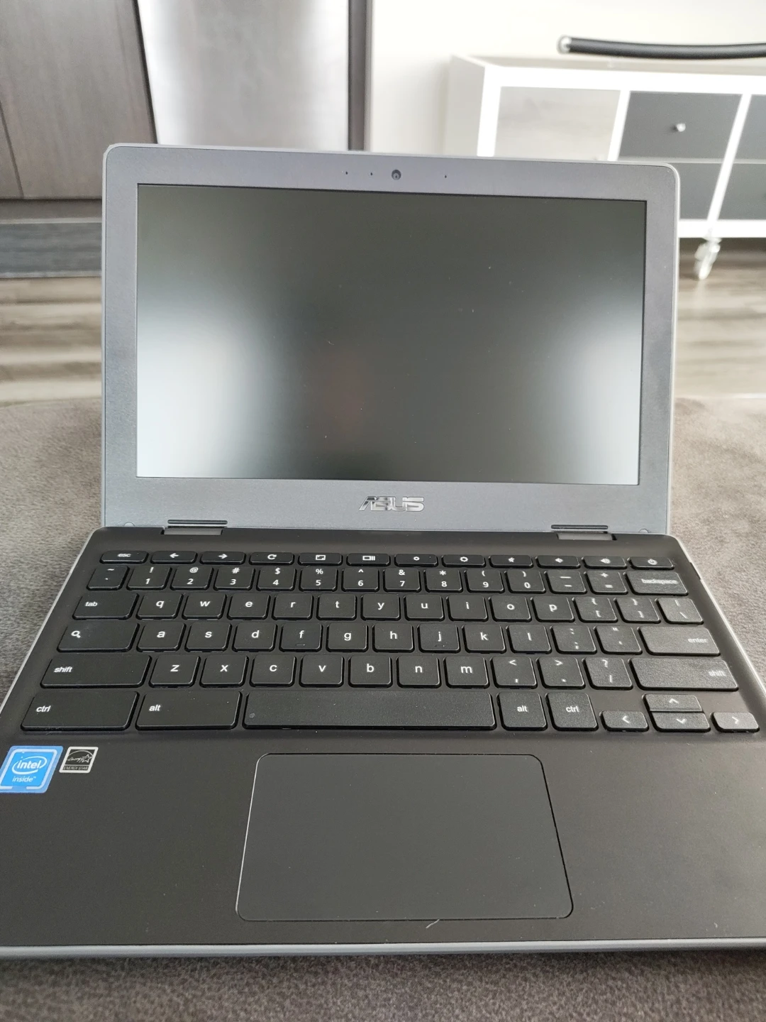 ASUS Chromebook C204E Laptop
