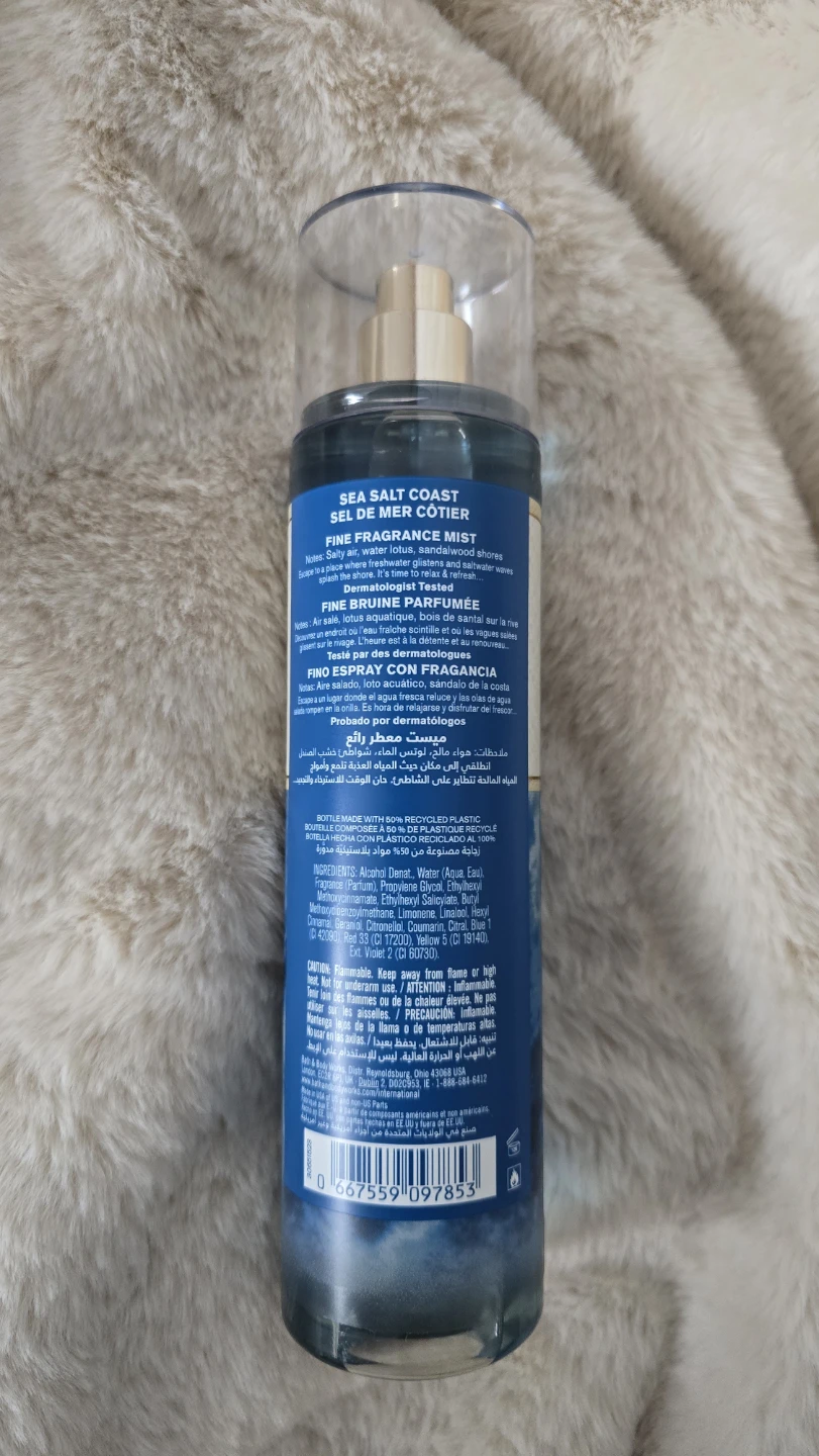 Bath & Body Works Sea Salt Coast Fine Fragrance Mist 8 fl oz - photo 2