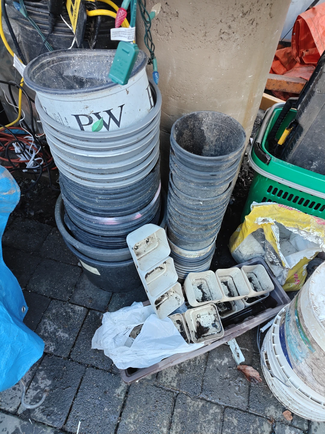 Assorted Plastic Plant Pots