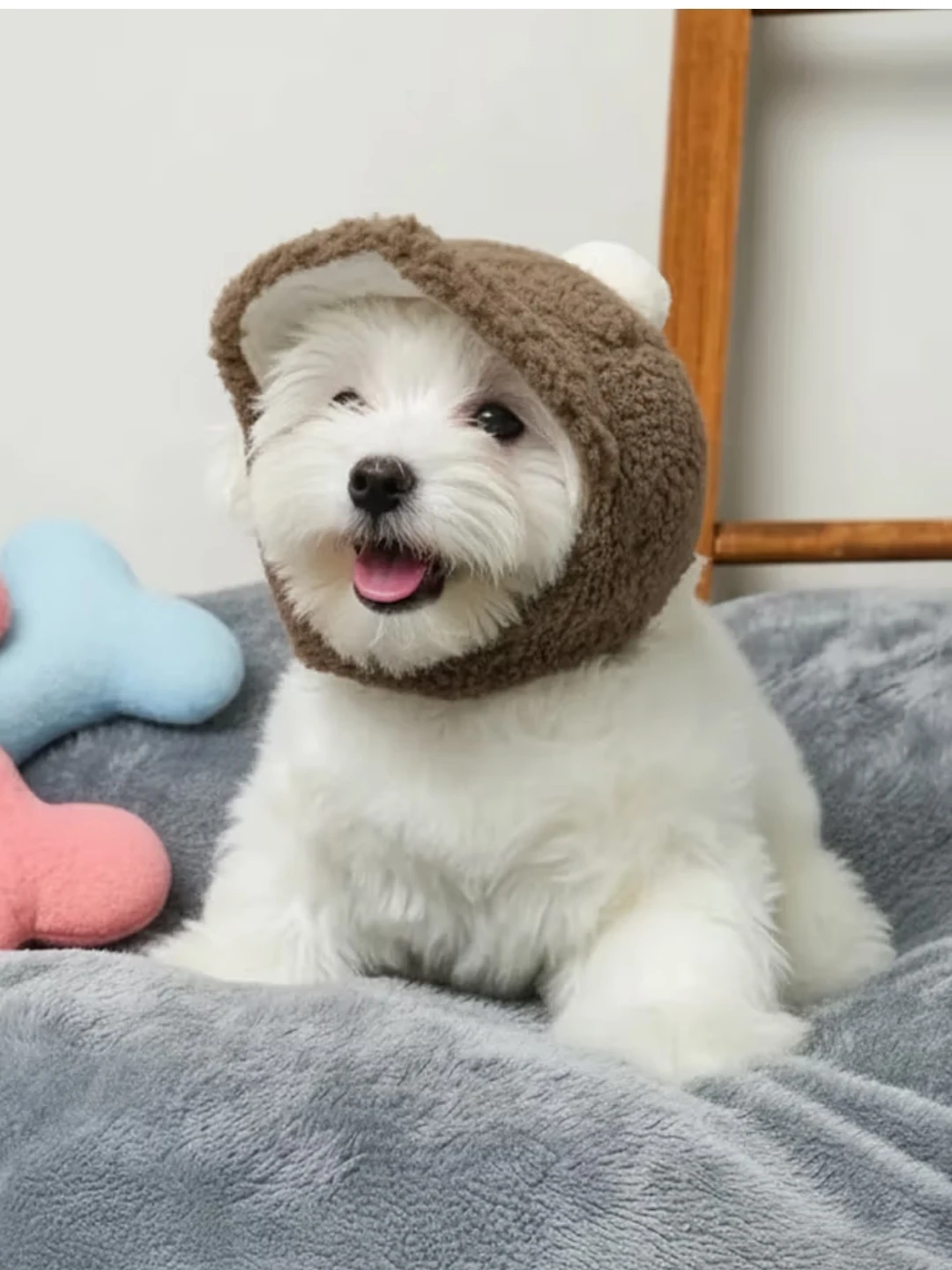 Pet 😍 cute Ear Fleece Hat(new)