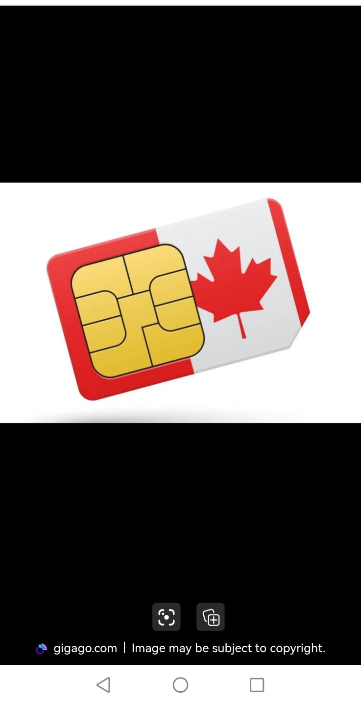 Prepaid SIM Card with data plan annually