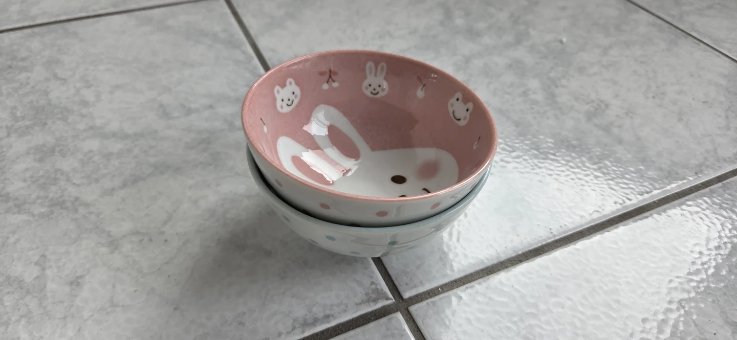 Set of 2 Cute Animal Ceramic Bowls - photo 4