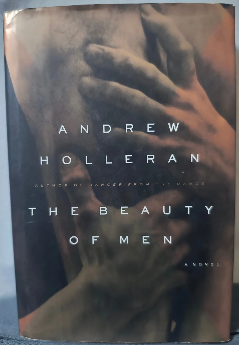 The Beauty of Men by Andrew Holleran (Novel)