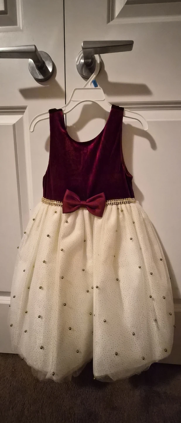 Girls' Velvet & Tulle Dress