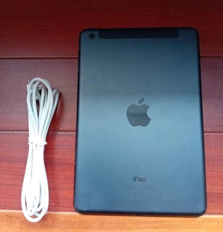 Apple iPad Mini - photo 2