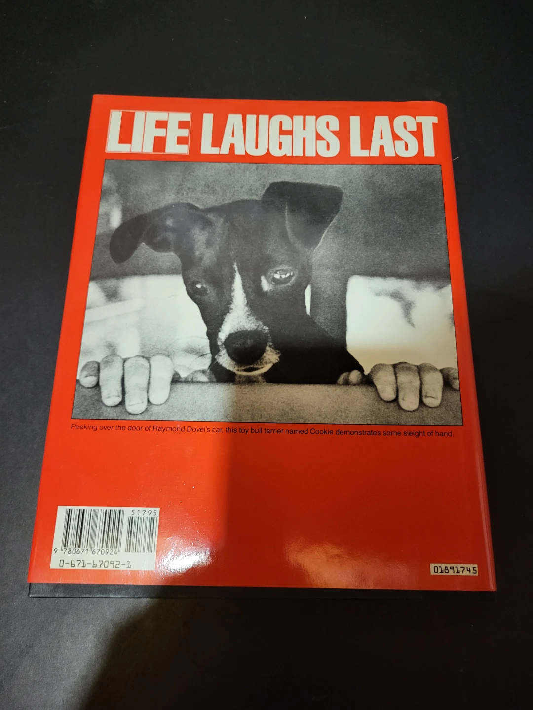 LIFE Laughs Last Photography Book - photo 2