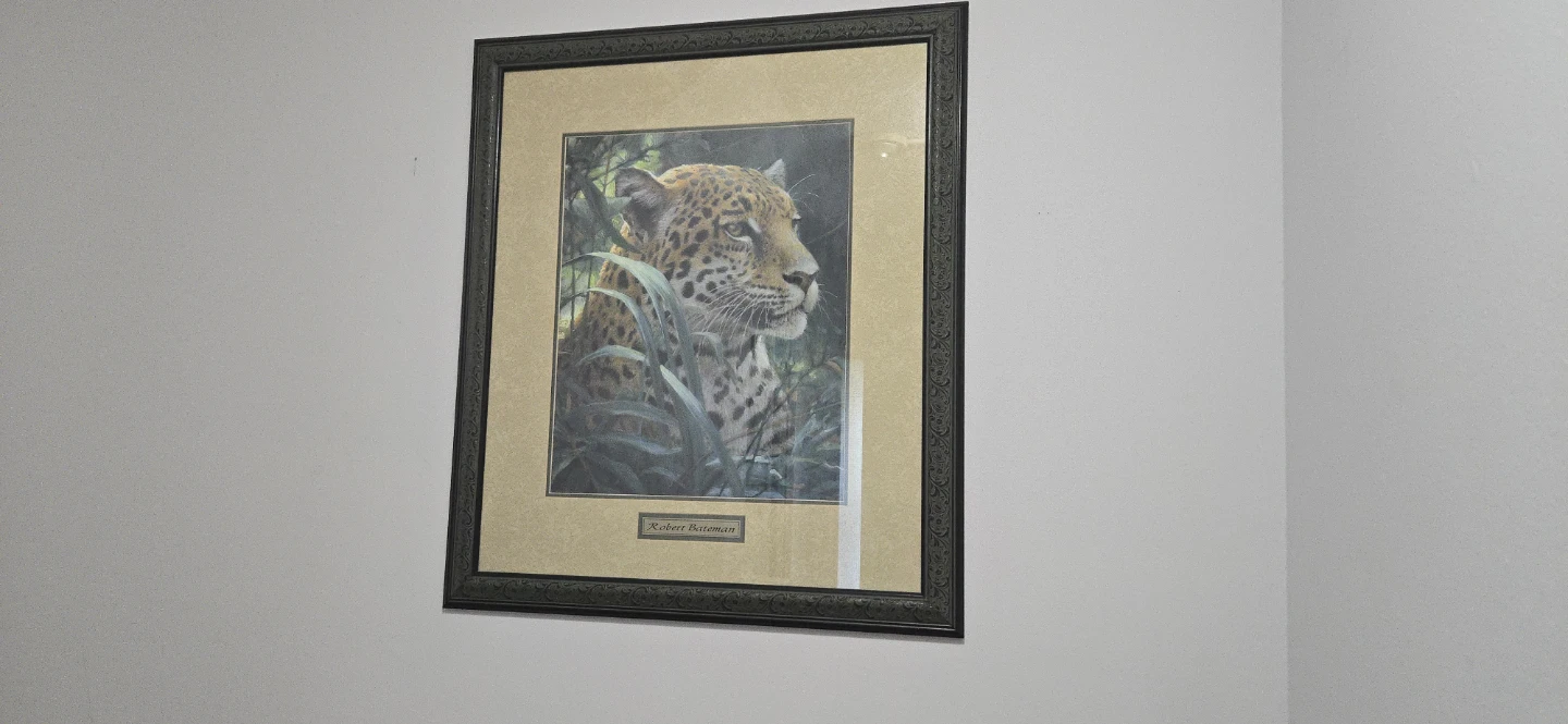 Beautiful framed print. - photo 3