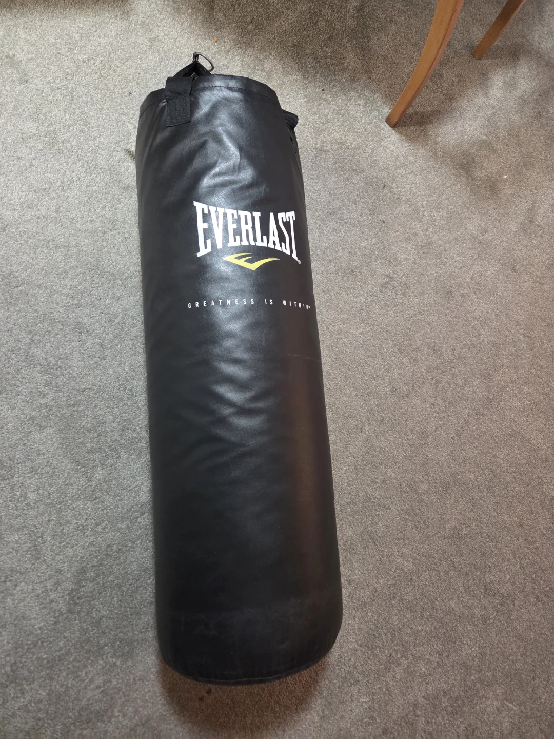 Everlast Punching Bag