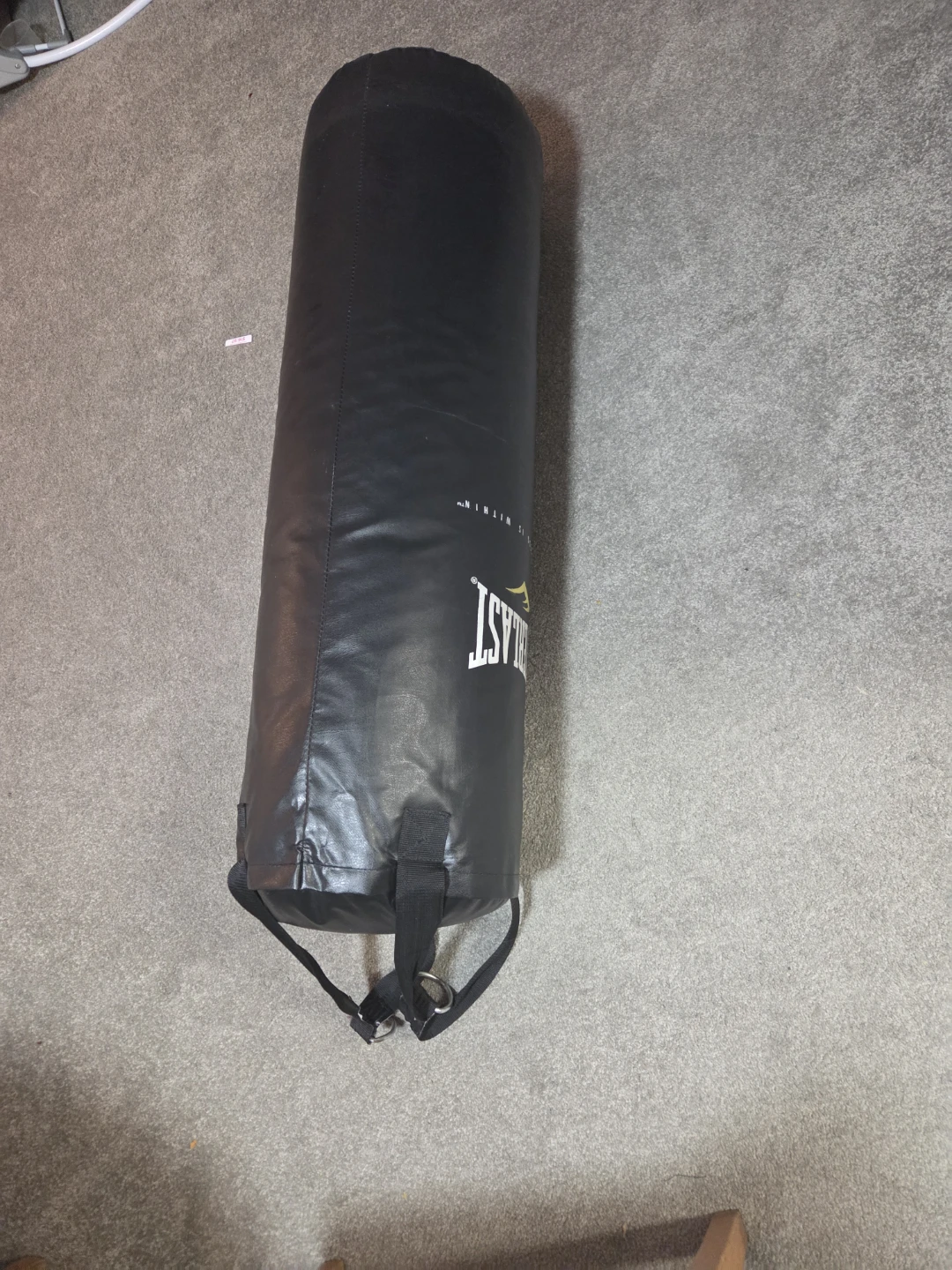 Everlast Punching Bag - photo 2