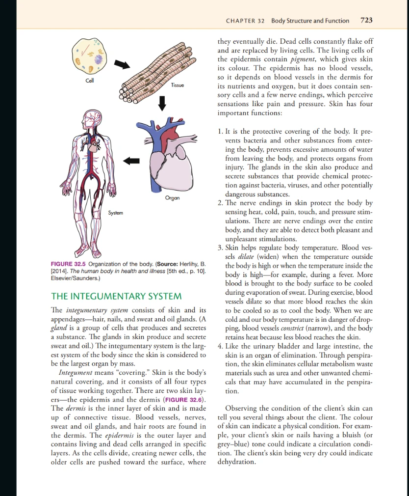 sorrentinos 5th edition PDF textbook and workbook - photo 4