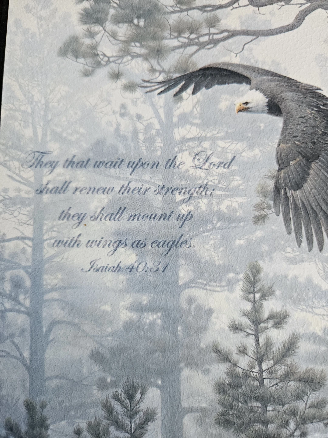 Isaiah 40:31 Wall Art - photo 2