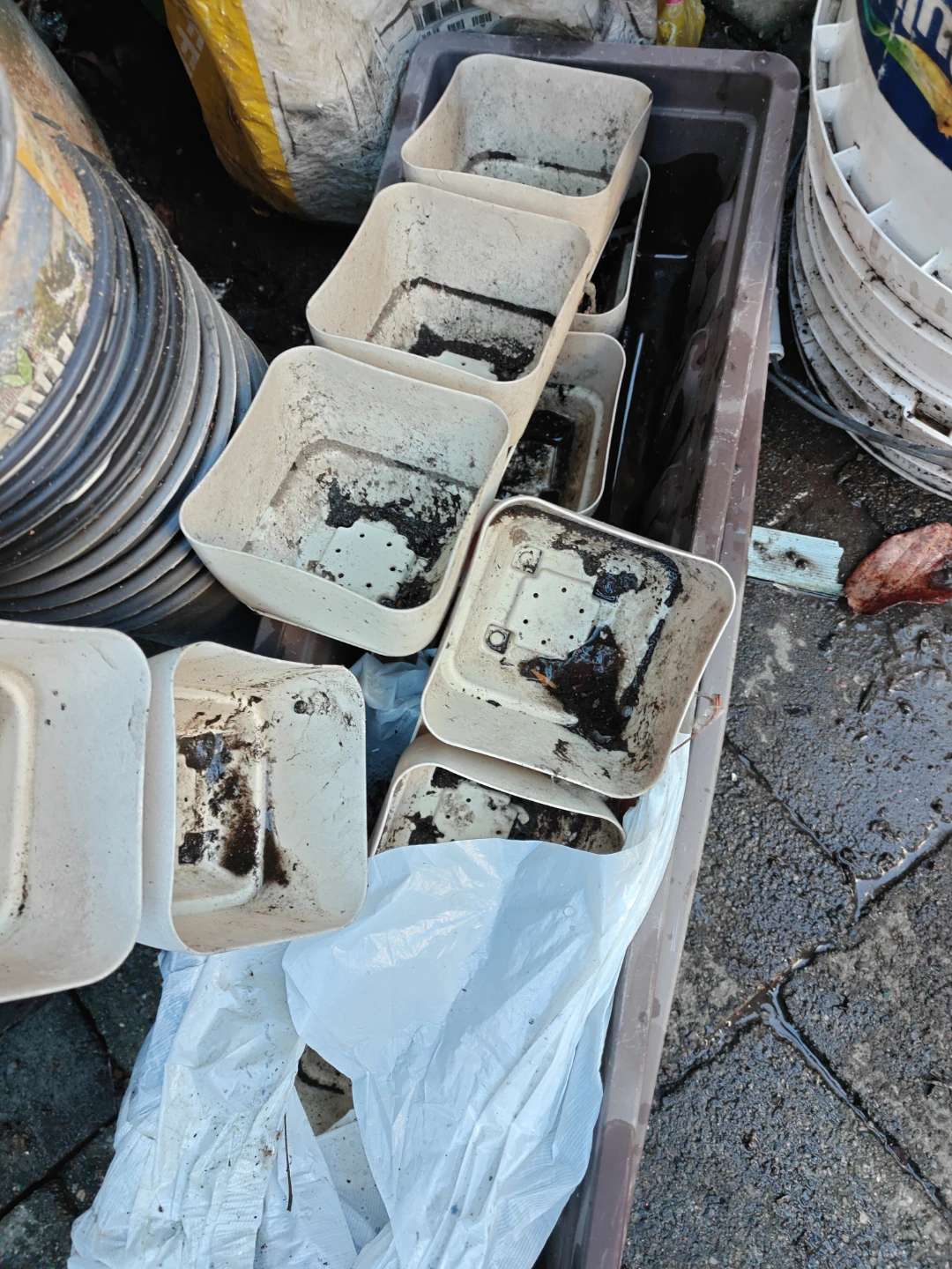 Assorted Plastic Plant Pots - photo 3