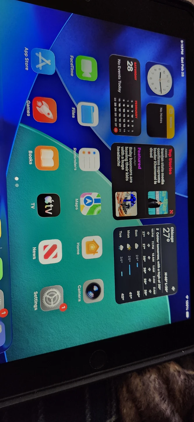 Apple iPad (9th Gen) 256GB WiFi - Space Gray - photo 2