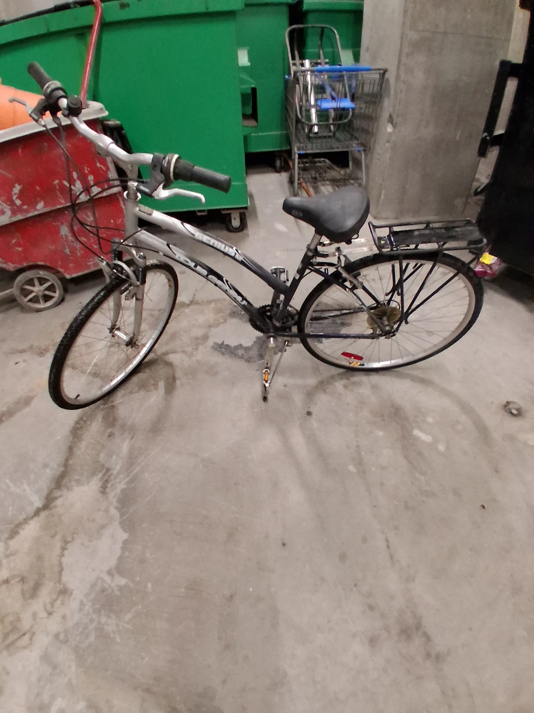 Louis Garneau 21-Speed Bike