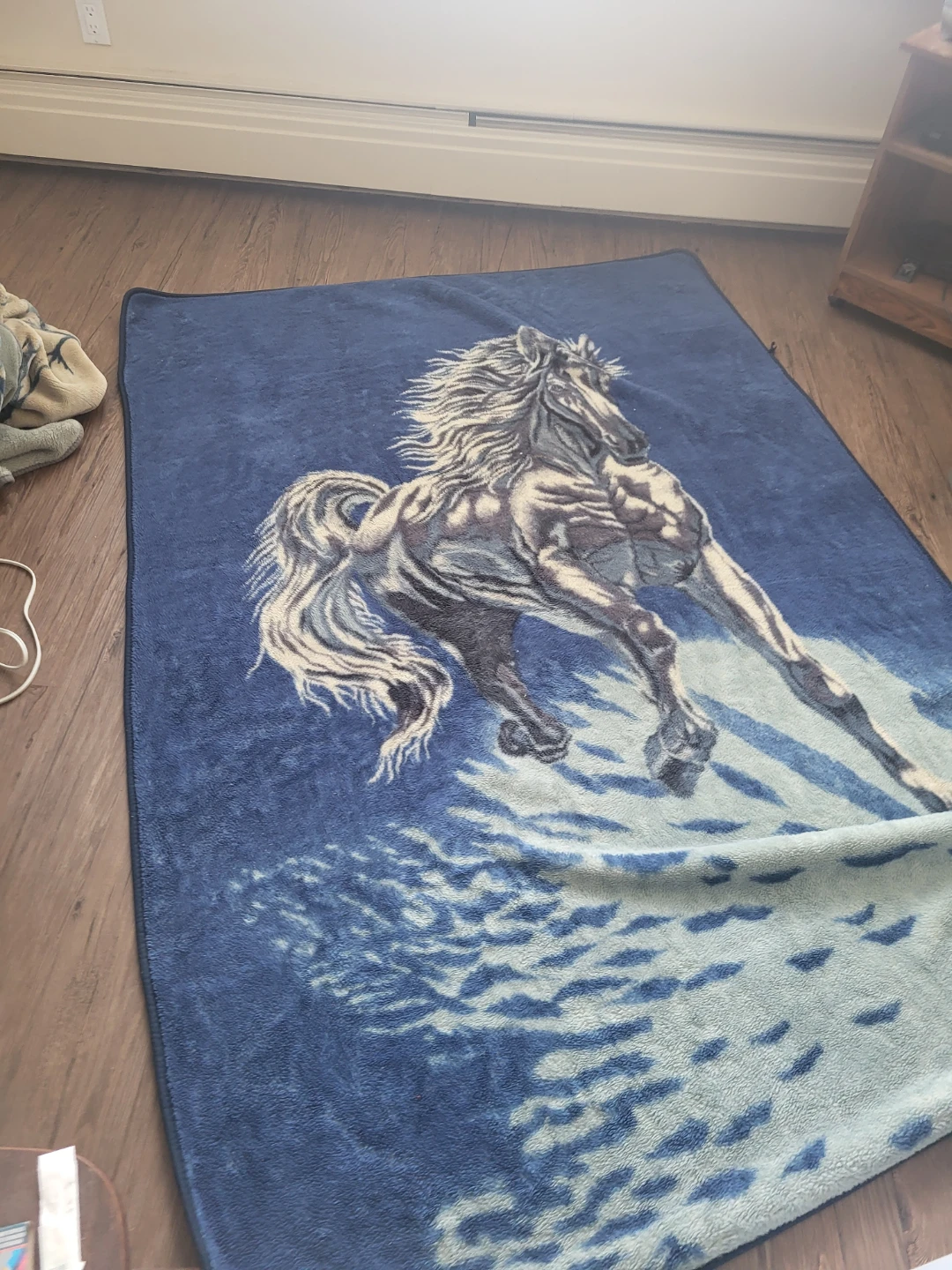 Blue Horse Blanket
