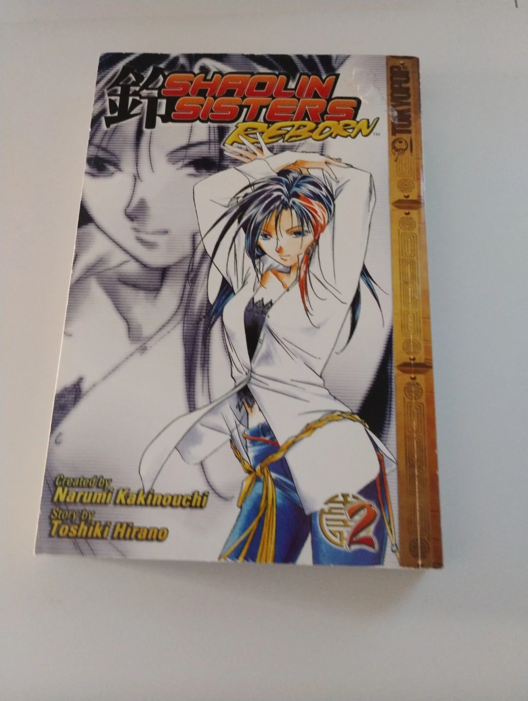 Shaolin Sisters Reborn Manga Volumes 2, 3 & 4 - photo 2