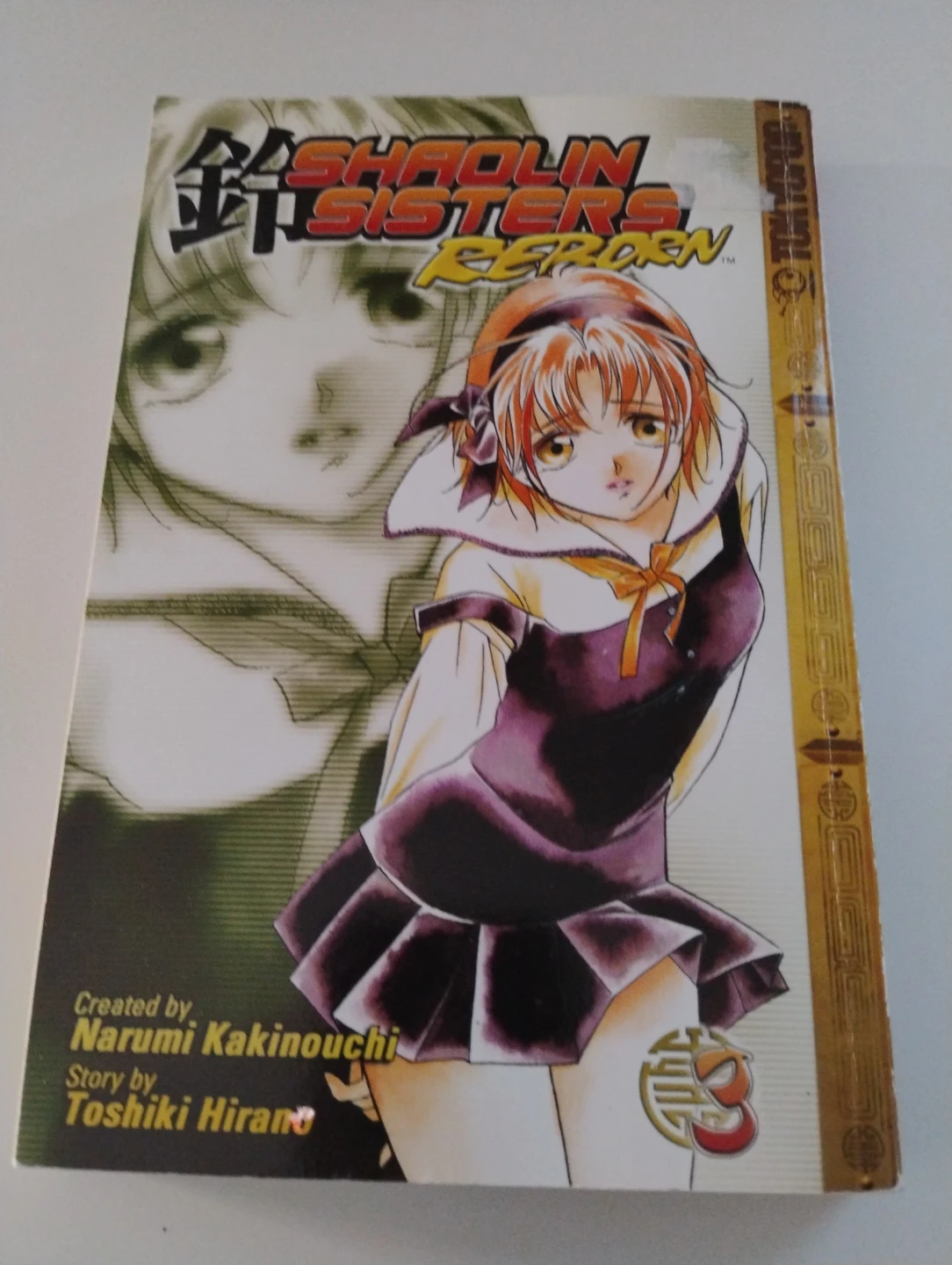 Shaolin Sisters Reborn Manga Volumes 2, 3 & 4 - photo 3