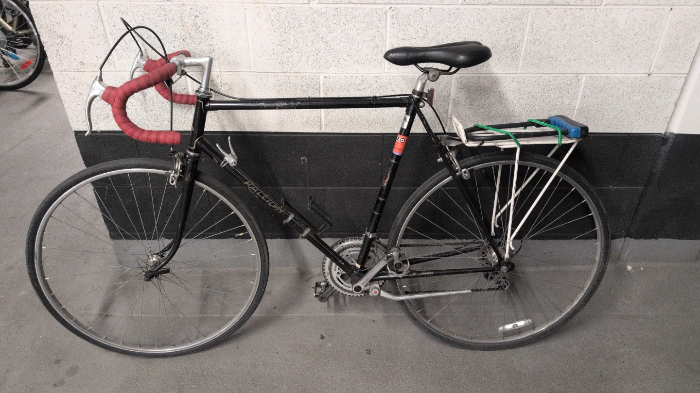 Raleigh Bicycle