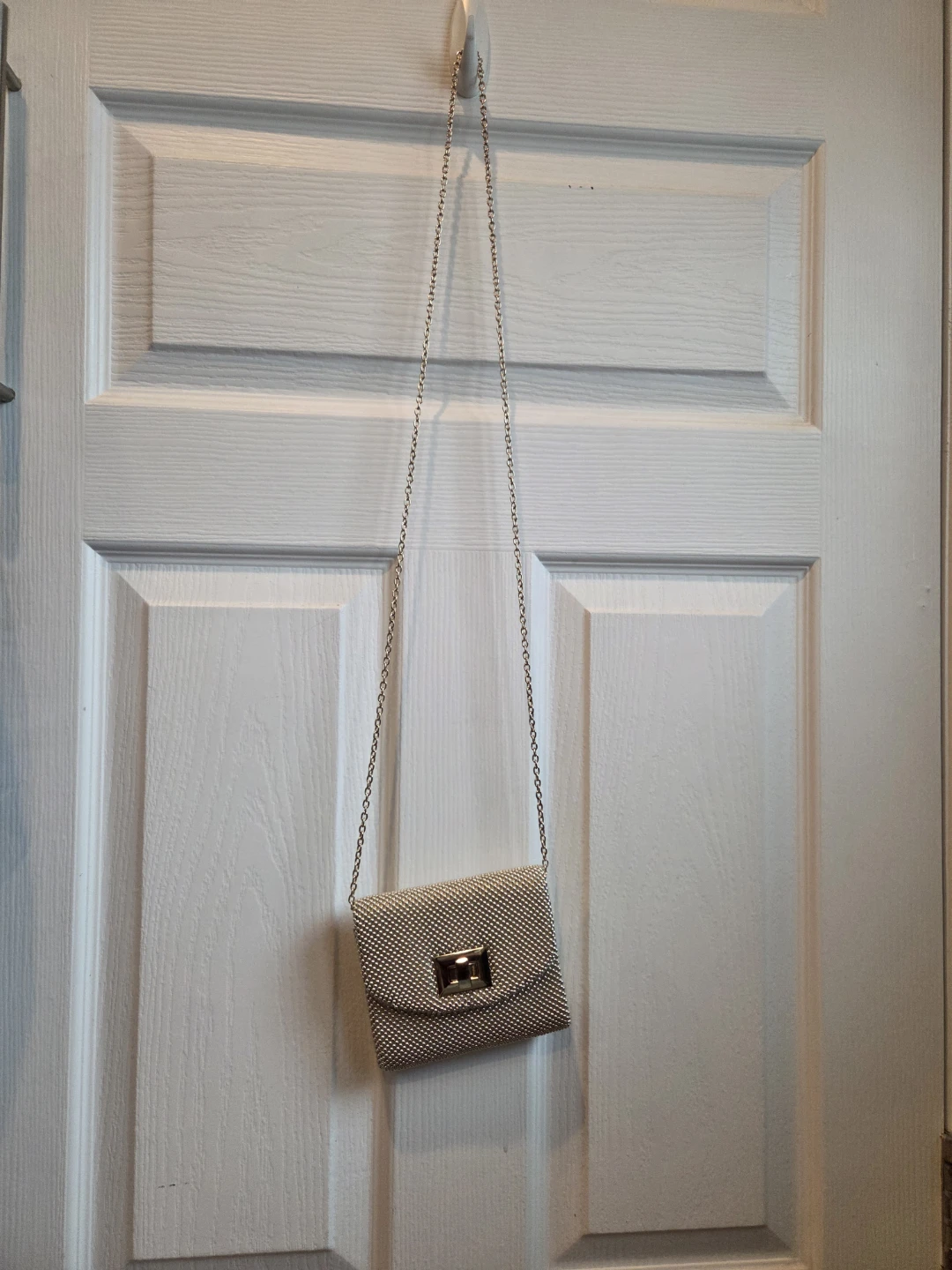 Charlie & RSVP Beaded Clutch Purse with Chain
