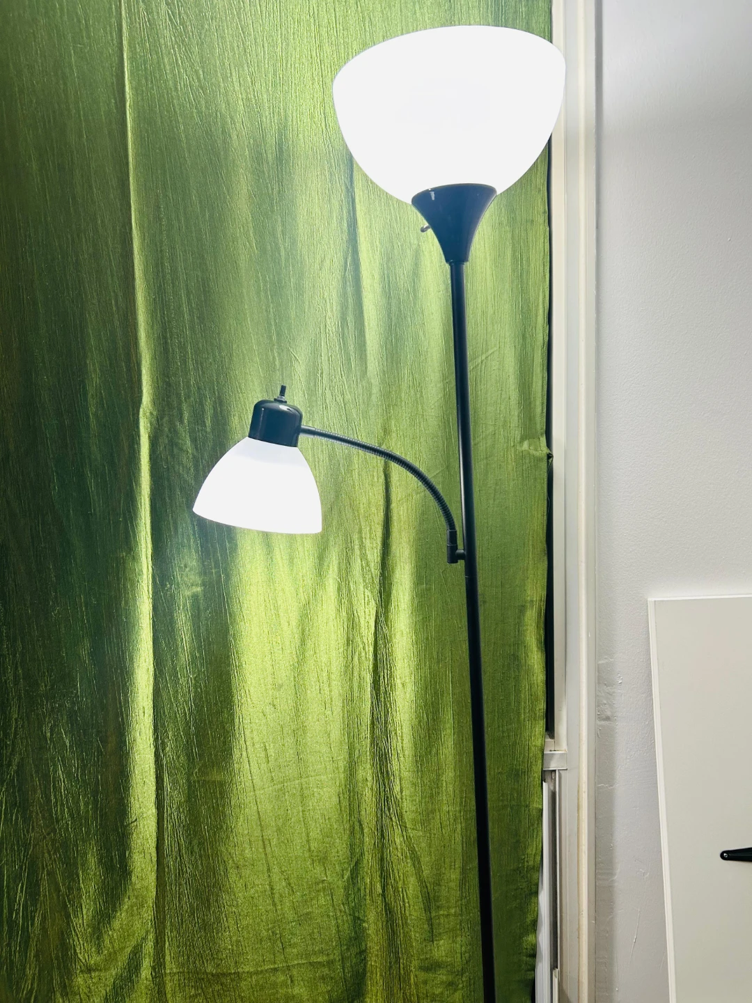 Adjustable Floor Lamp with Reading Light