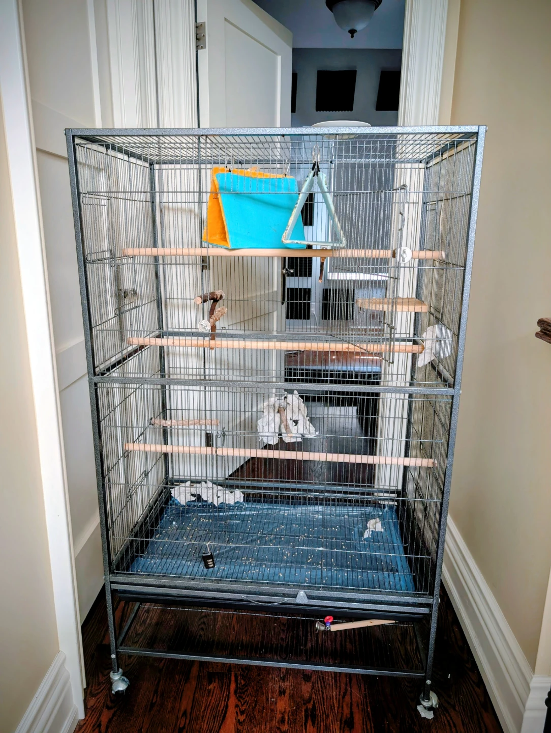 Large Bird Cage with Perches and Accessories