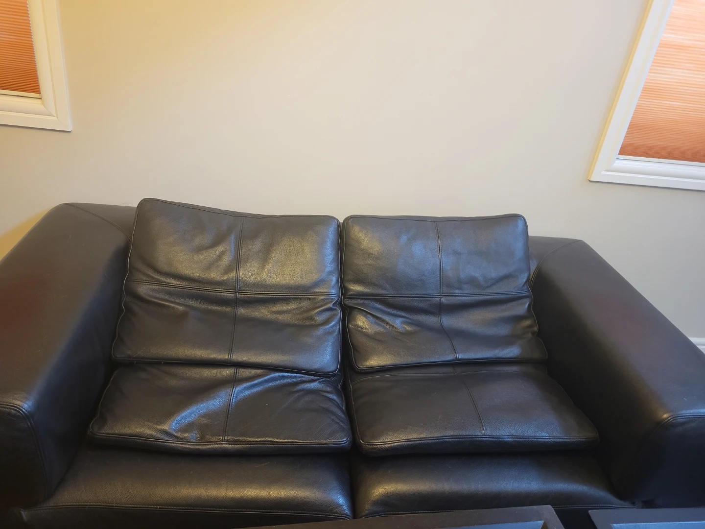 Black Leather Loveseat