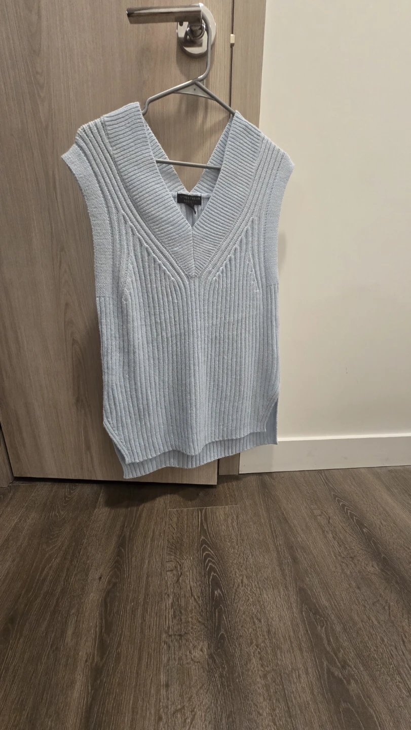 Everlane The V-Neck Sweater Vest