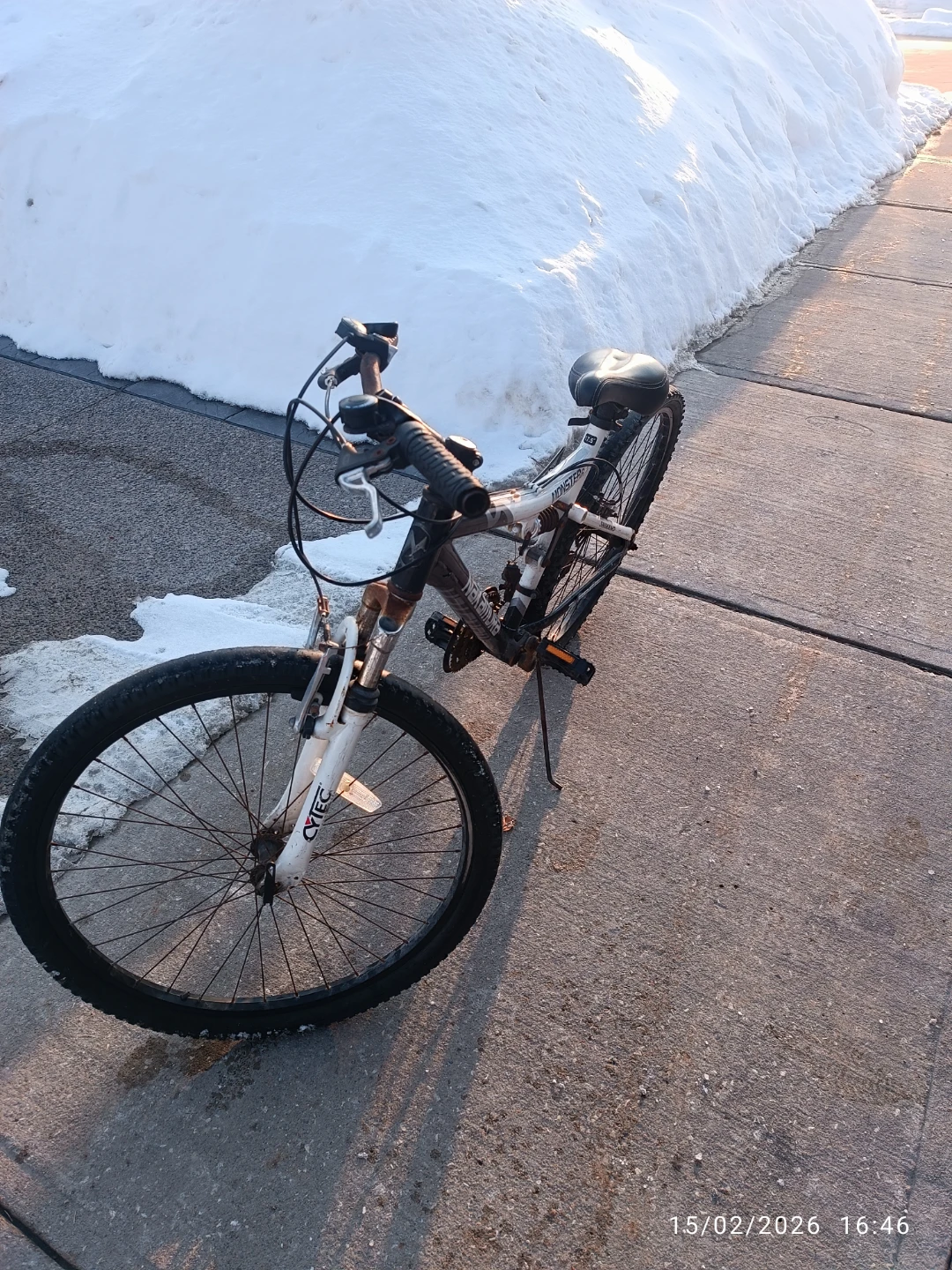 Nakamura Monster 2.1 Mountain Bike - photo 5