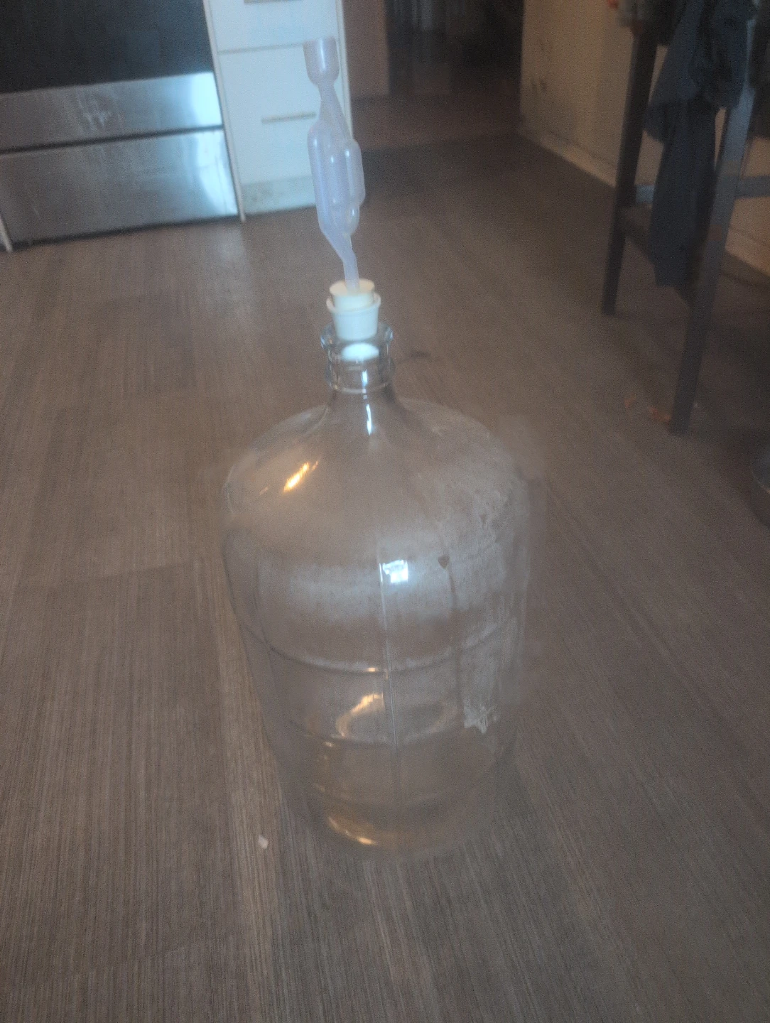 Glass Carboy with Airlock for Brewing