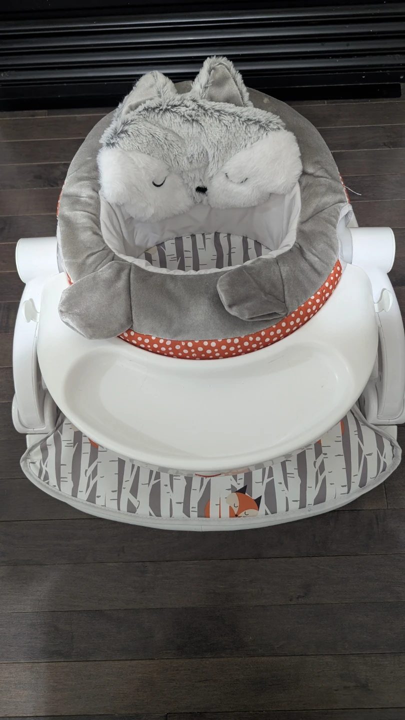 Fisher-Price Fox Sit-Me-Up Floor Seat - photo 3