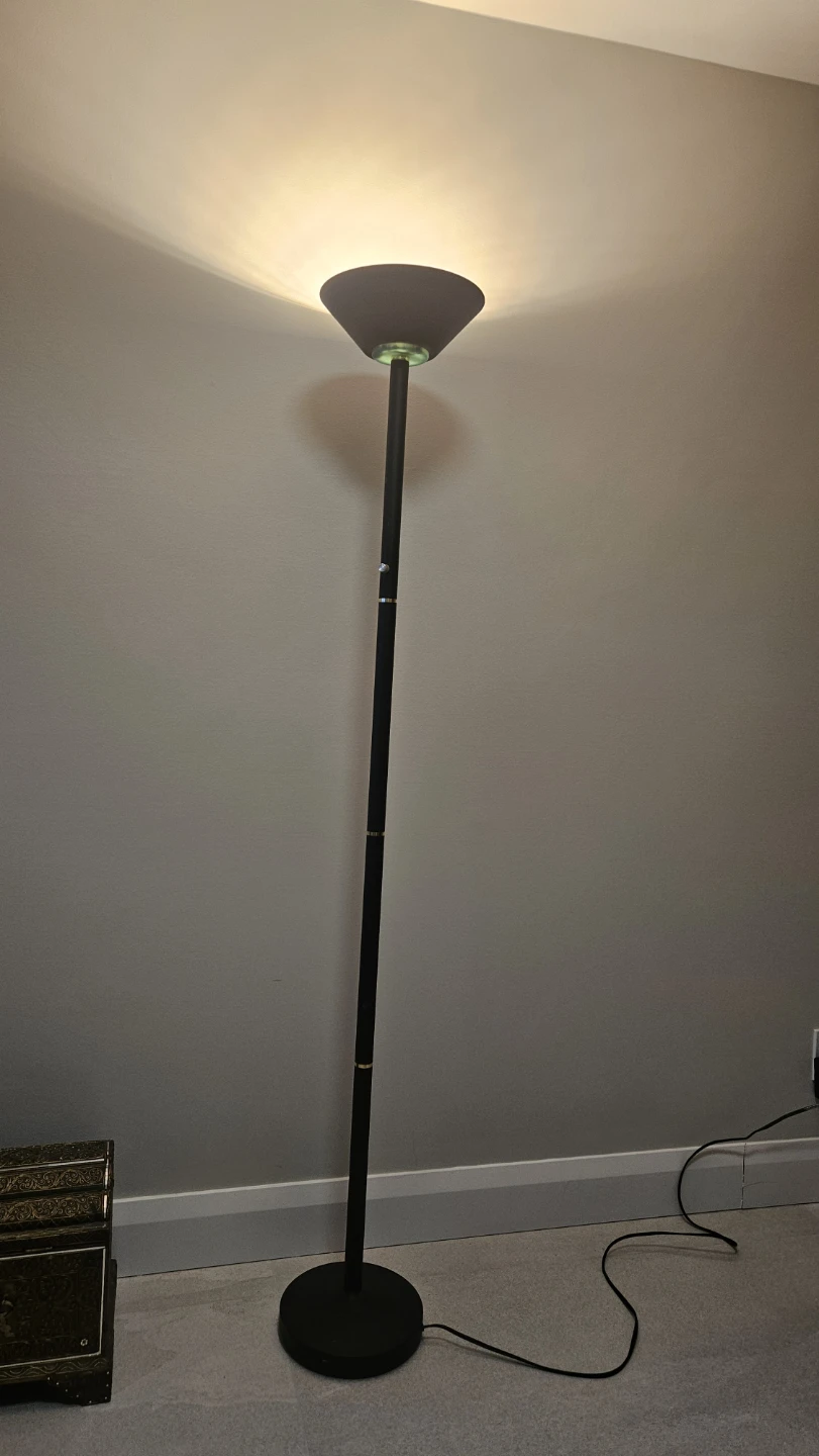 Black Floor Lamp with Adjustable Height