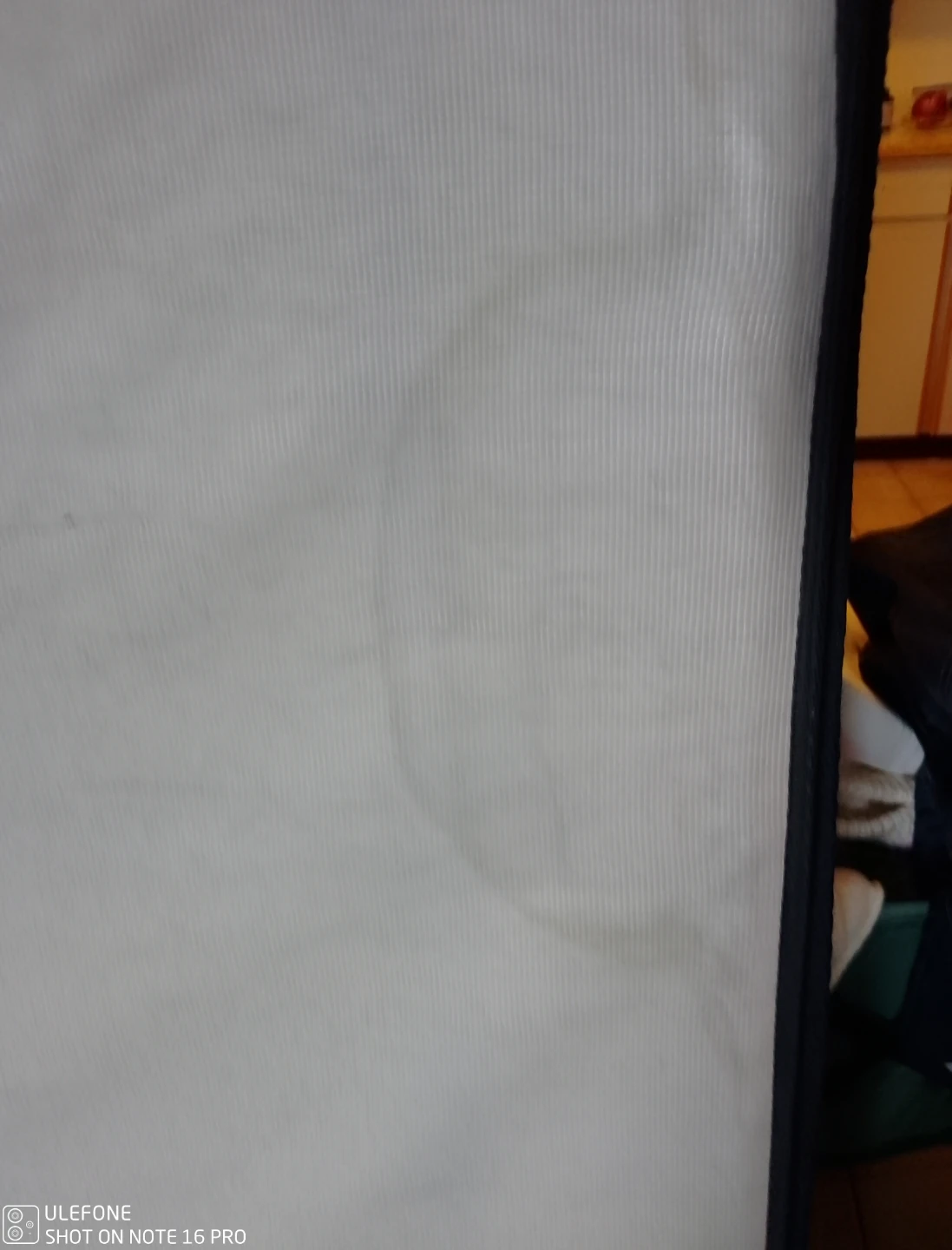 Sealy ProBack Posturepedic Mattress - photo 5