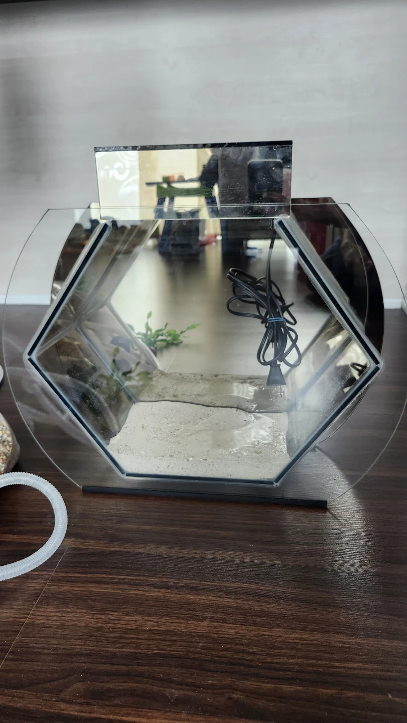 Hexagonal Glass Aquarium with Green LED Light