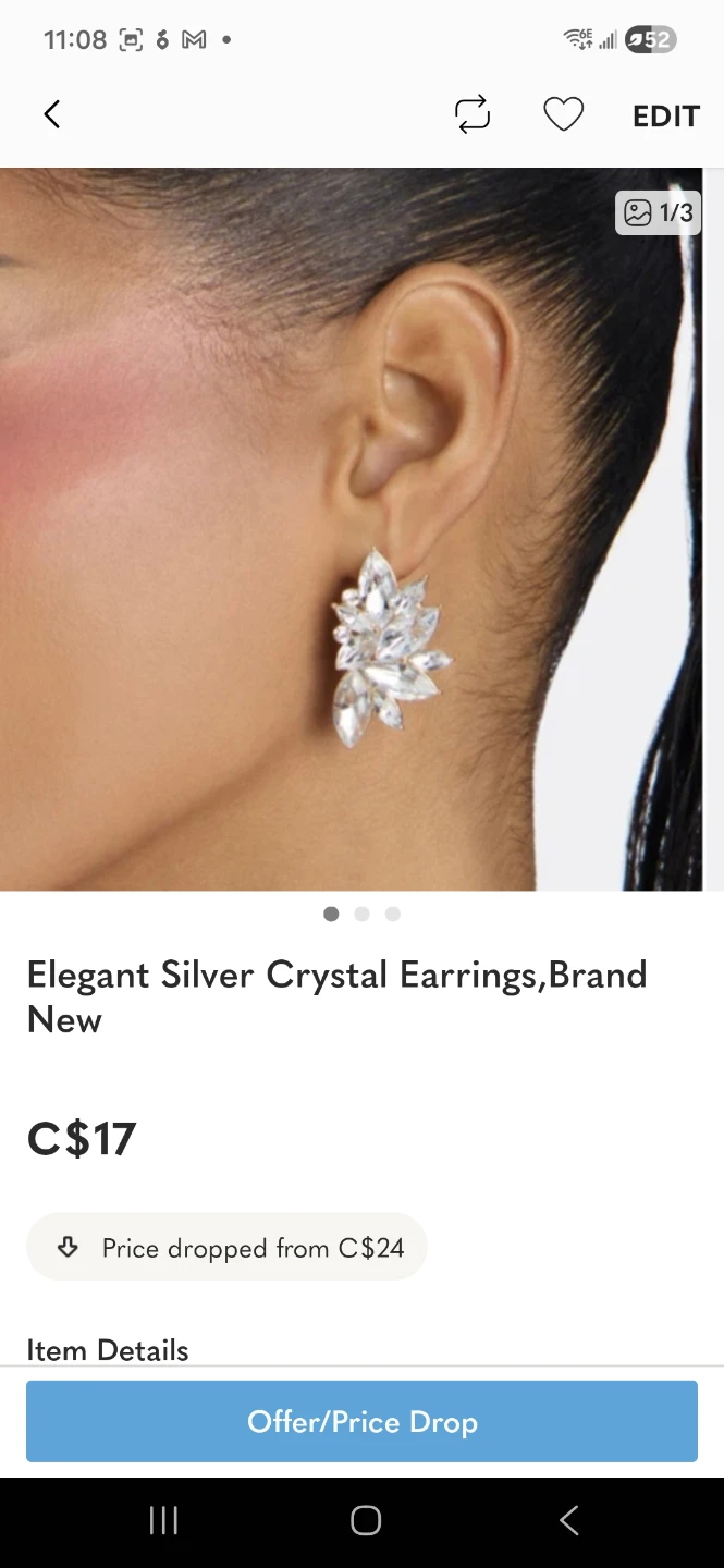 Brand new  earings