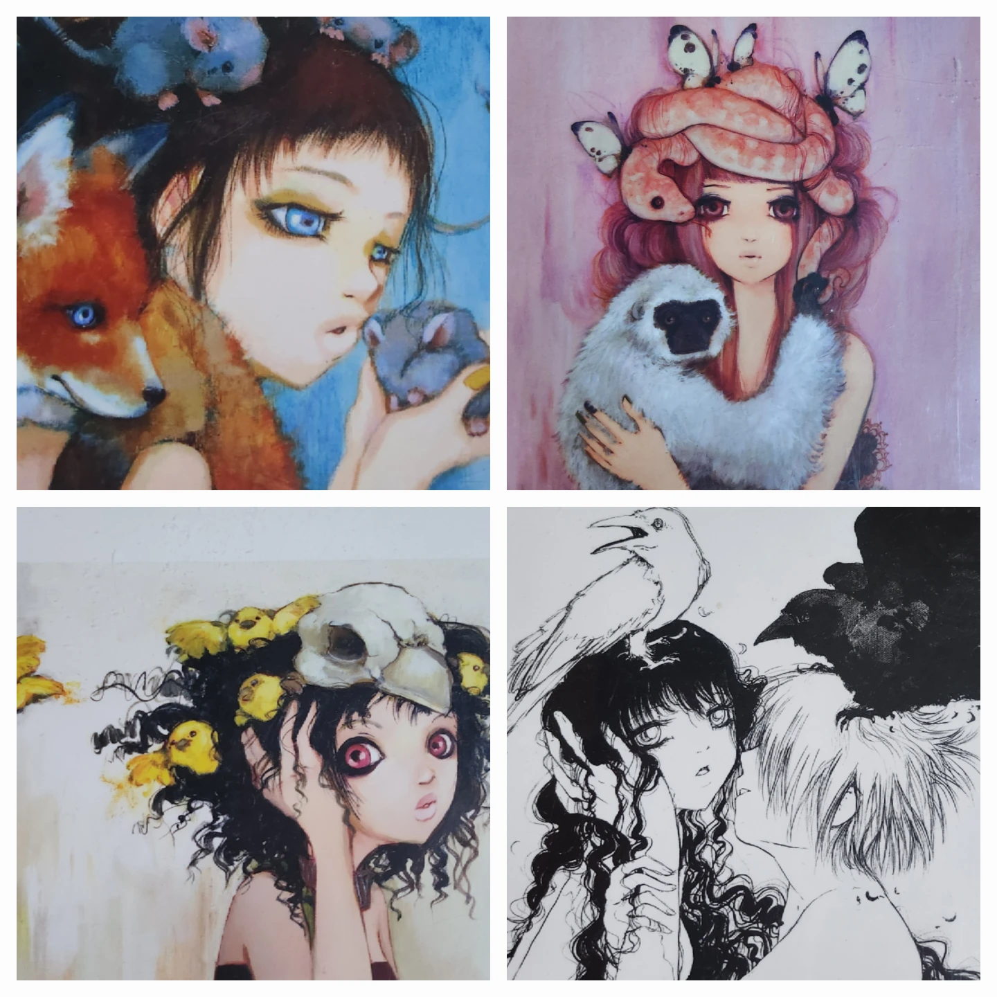 Camilla d'Errico Art Print Set - (Set of 4) 🏆