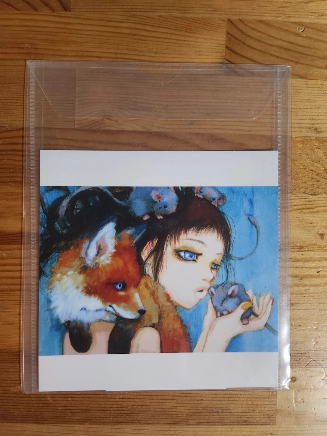 Camilla d'Errico Art Print Set - (Set of 4) 🏆 - photo 3